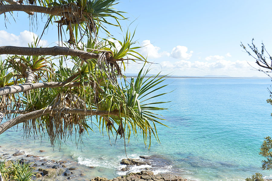 sunshine-coast sunshine-coast